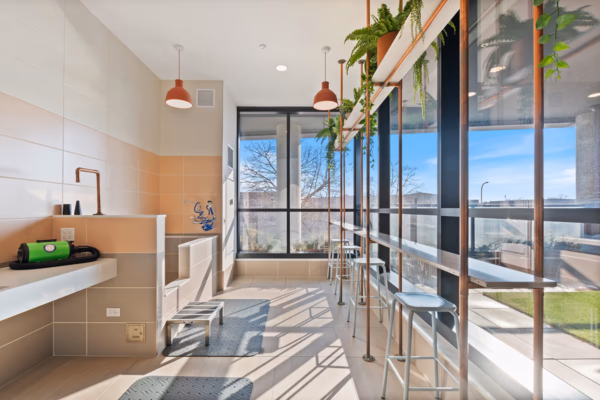 68aed4112d828395f53b0e93_tandem_avra_slider-05